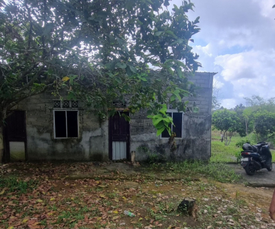 Screenshot_20251102_195530_Gallery